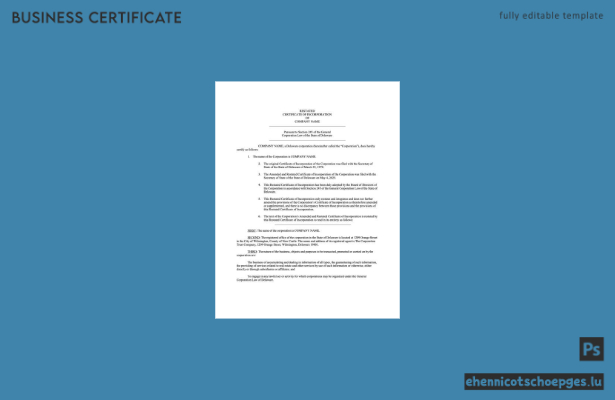 Gründungsurkunde des US-Bundesstaates Delaware (Word und PDF), Version 3 – Beispielvorschau